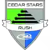 雪松之星